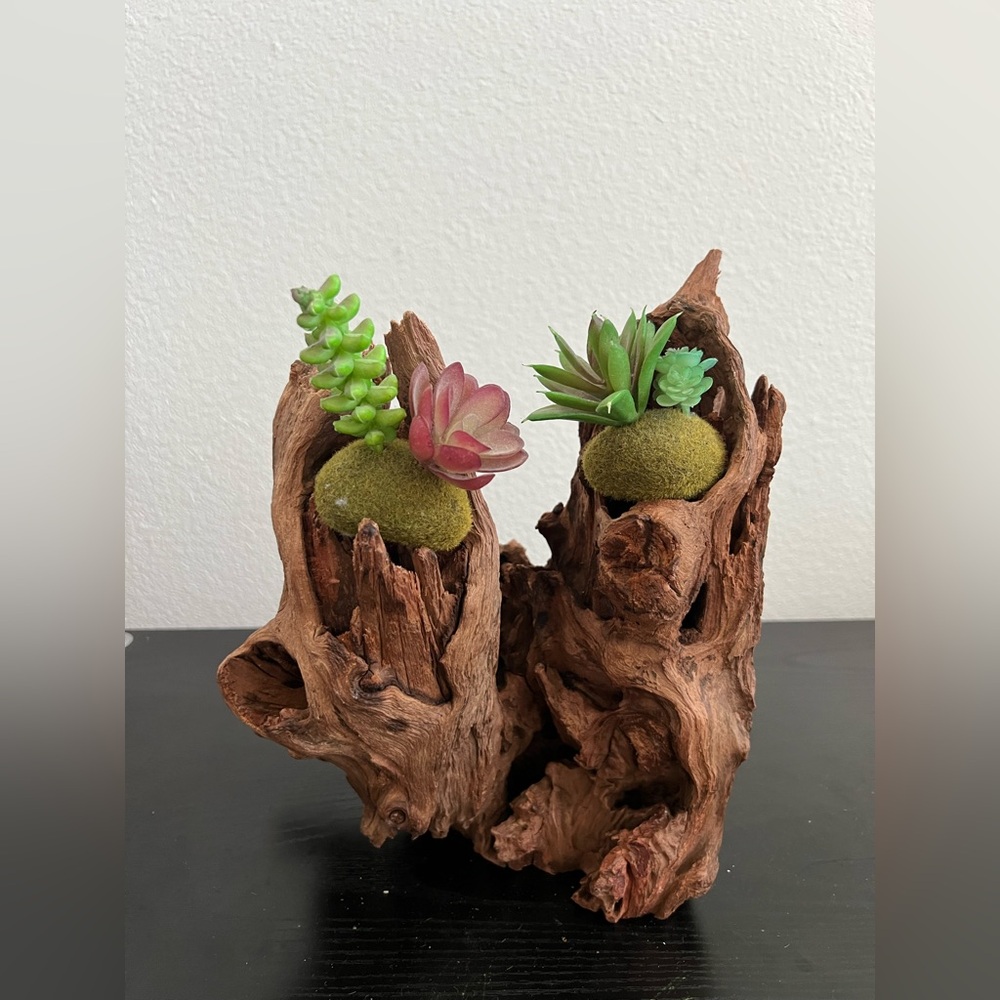 Natural Driftwood Sculpture decoration